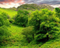 0402gheo-6fbf-88x70.png