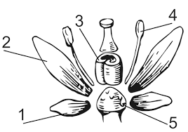 0402ghnt-640c-268x188.png