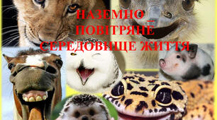 Наземно - повітряне середовище існування