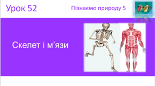 Скелет і м’язи "Пізнаємо природу" (авт. Коршевнюк Т.В.)