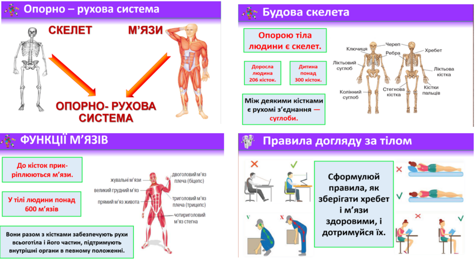 0402glt8-fd1d-940x521.png