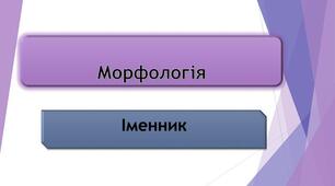 Морфологічна помилка. Рід іменників. Узгодження іменників