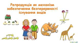 Репродукція і розвиток