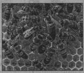 0402gqwj-3cd5-172x149.jpg