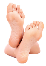 0402gr98-5cd3-154x218.png