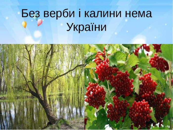 Возможно, это изображение текст