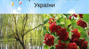 Біля річки, біля броду,  Похилилася верба.