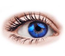 0402grcg-5638-216x187.png