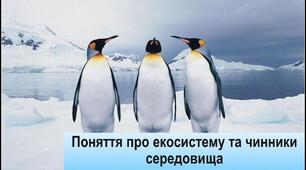 Поняття про популяцію, екосистему та чинники середовища.  