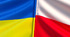 Науковий проект: «Освітня політика України та Польщі : порівняльний аналіз»