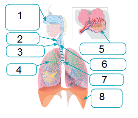 0402gv8u-6a8d-284x244.png