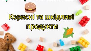 Дидактична гра " Корисні та шкідливі продукти " ( граємо з цеглинками LEGO )