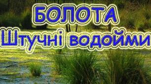 Болота . Штучні водойми