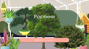 Рослини (дерева, кущі, трав'янисті рослини)