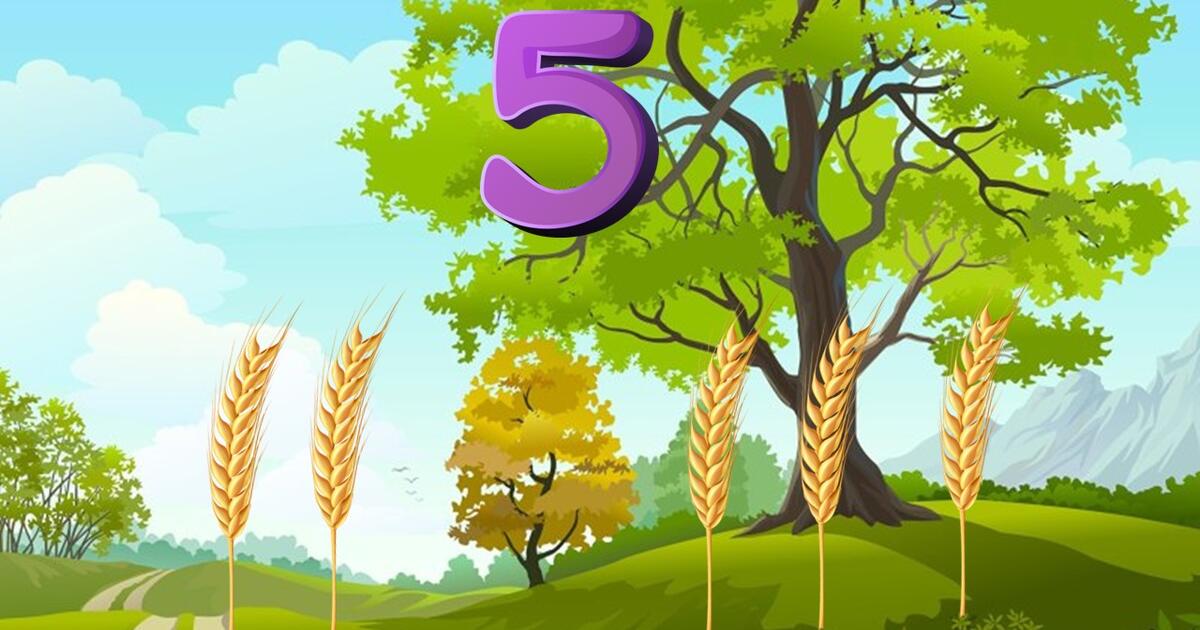 Число і цифра 5. Склад числа п’ять. Орієнтування у просторі ...