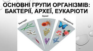 9 кл. Основні групи організмів.