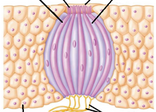 0402h51k-3e32-256x184.png