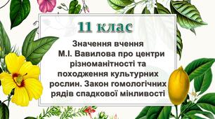 Презентація з теми "Значення для планування селекційної роботи вчення  М. І. Вавилова"