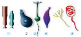 0402h5ax-9e2d-344x157.png