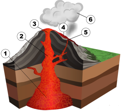 0402h5cb-b898-441x399.png