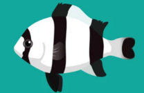 0402h5ll-5d21-208x135.png