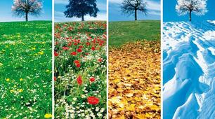 Les saisons