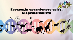  Узагальнення "Еволюція органічного світу. Біорізноманіття""