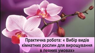 (Копія) Визначення видів кімнатних рослин, придатних для вирощування в певних умовах