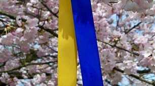Повір! Добро завжди перемага...