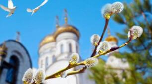 “Вербова гілка”– добра казка для дітей українською мовою
