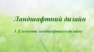 Презентація "Ландшафтний дизайн: складові елементи"