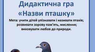 Дидактична гра "Назви пташку"