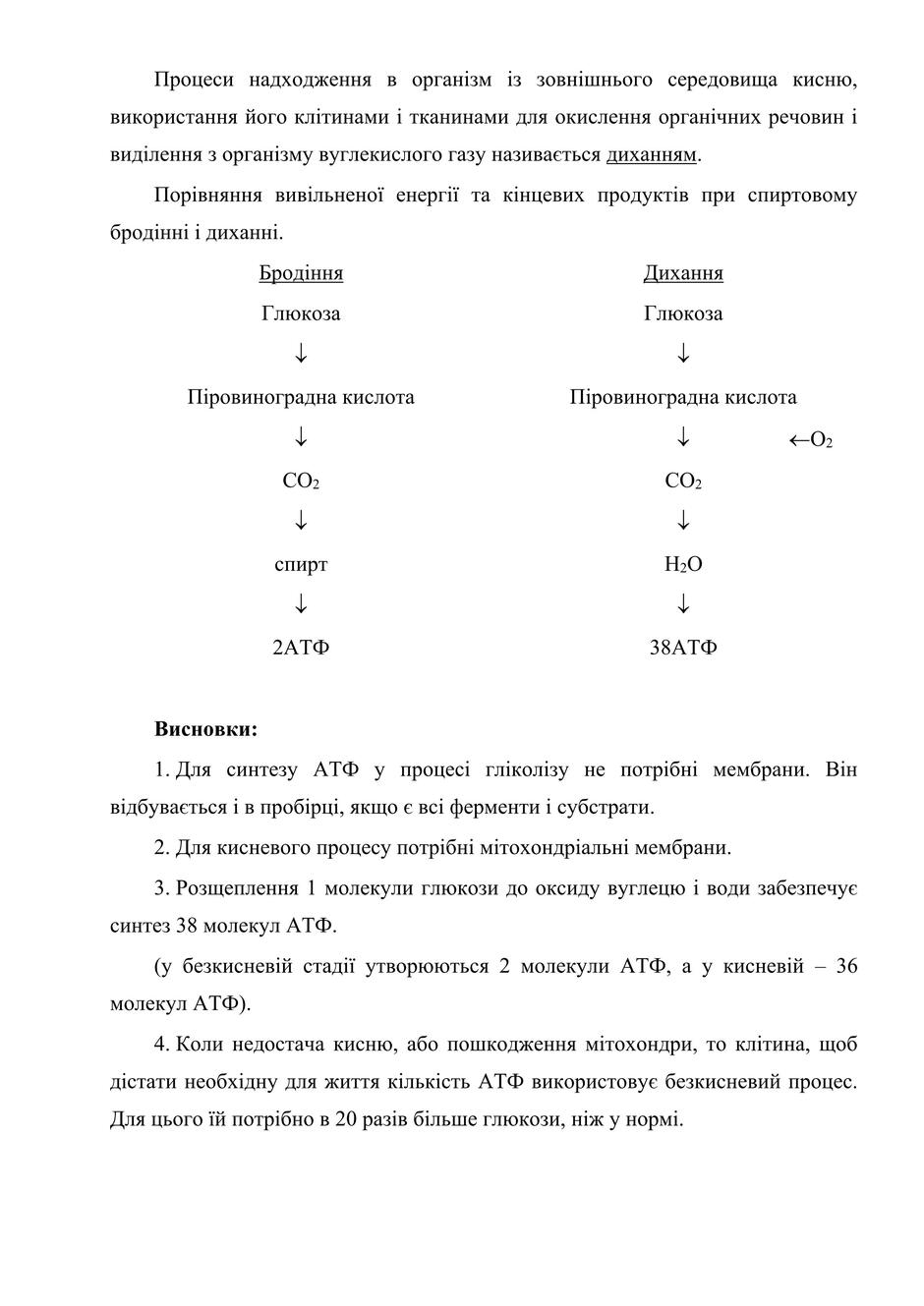 0402hgnw-8391-940x1329.jpg