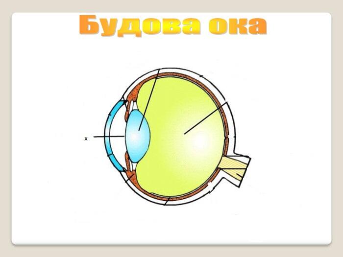 0402hi5q-08e6-700x525.jpg