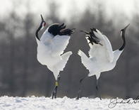 0402hi6a-b3d7-197x155.png
