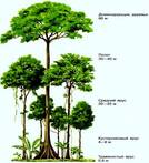 0402hjg5-4895-134x147.jpg