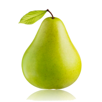 0402hjlf-279f-331x331.png