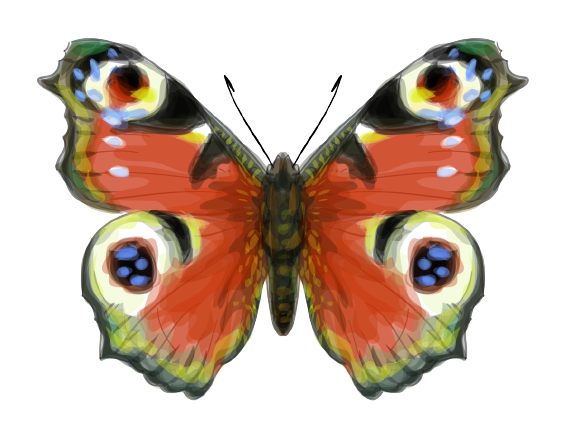 0402hkra-c801-570x438.png