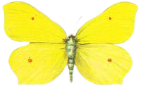 0402hkri-feca-200x126.png