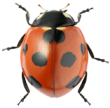 0402hktz-672d-503x496.png