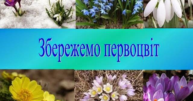 Презентація „ Розмальовка „ Первоцвіти” | Презентація. Біологія