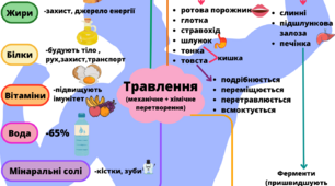 Ментальна мапа до теми "Звідки наш оганізм бере енергію?"