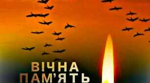 ... Як же вас багато полетіло...  Ще таких безвусих, молодих...