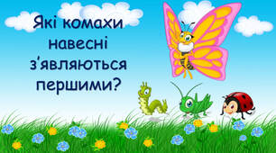 Які комахи навесні з'являються першими?