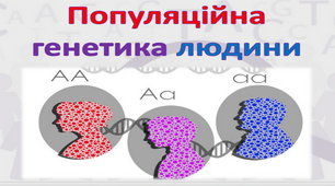 Презентація на тему "Популяційна генетика людини"