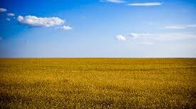 Біорізноманітність Українських степів