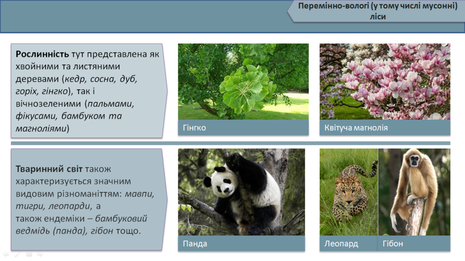 0402hut5-7465-940x528.png