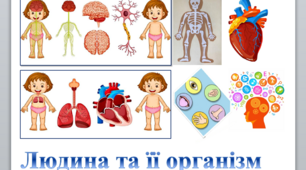 Організм людини.