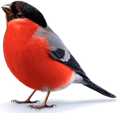 0402i3oh-4838-236x228.png