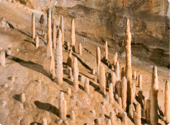0402i63u-f1a1-684x503.png